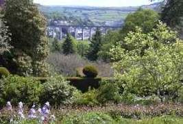 Gardens and View of Calstock Viaduct from Cotehele